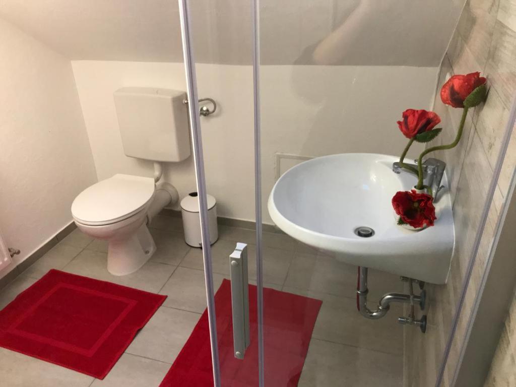 Haus Astenblick In Winterberg Fuer Bis Zu 35 Personen Fuer Wanderveranstaltungen Und Familienfeiern 외부 사진