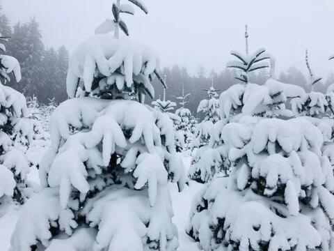 Haus Astenblick In Winterberg Fuer Bis Zu 35 Personen Fuer Wanderveranstaltungen Und Familienfeiern 외부 사진